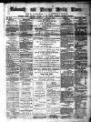 Cornish Echo and Falmouth & Penryn Times Saturday 04 January 1890 Page 1