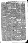 North Bucks Times and County Observer Thursday 05 May 1881 Page 3