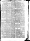 North Bucks Times and County Observer Thursday 16 June 1881 Page 3