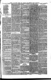 North Bucks Times and County Observer Thursday 01 September 1881 Page 7