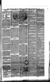 North Bucks Times and County Observer Thursday 02 February 1882 Page 7