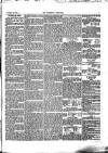 Folkestone Chronicle Saturday 24 November 1860 Page 7