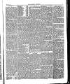 Folkestone Chronicle Saturday 23 May 1863 Page 5