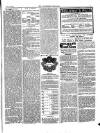 Folkestone Chronicle Saturday 04 February 1871 Page 7