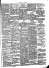 Folkestone Chronicle Saturday 23 January 1875 Page 5