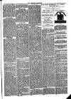 Folkestone Chronicle Saturday 20 February 1875 Page 7