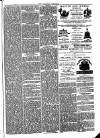 Folkestone Chronicle Saturday 27 February 1875 Page 7
