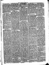 Folkestone Chronicle Saturday 19 June 1875 Page 3