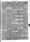 Folkestone Chronicle Saturday 12 February 1876 Page 3