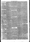 Folkestone Chronicle Saturday 27 January 1877 Page 3