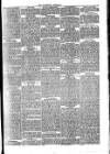 Folkestone Chronicle Saturday 27 January 1877 Page 7