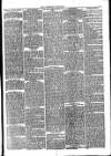 Folkestone Chronicle Saturday 17 February 1877 Page 3