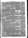 Folkestone Chronicle Saturday 24 March 1877 Page 3
