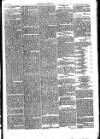 Folkestone Chronicle Saturday 26 May 1877 Page 5