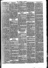 Folkestone Chronicle Saturday 26 May 1877 Page 7