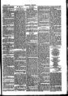 Folkestone Chronicle Saturday 17 November 1877 Page 5