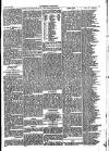 Folkestone Chronicle Saturday 29 March 1879 Page 5