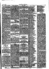 Folkestone Chronicle Saturday 12 April 1879 Page 5