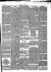 Folkestone Chronicle Saturday 31 May 1879 Page 5