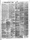 Folkestone Chronicle Saturday 18 February 1888 Page 3