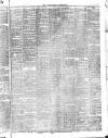 Gateshead Observer Saturday 19 December 1874 Page 3