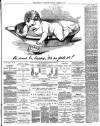 Reading Standard Friday 13 March 1891 Page 3