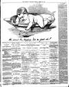 Reading Standard Friday 20 March 1891 Page 3