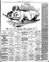 Reading Standard Friday 17 April 1891 Page 3