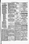 Y Llan Saturday 20 August 1870 Page 7