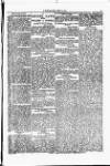 Y Llan Saturday 10 September 1870 Page 3