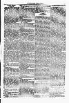 Y Llan Saturday 15 April 1871 Page 7