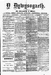 Y Llan Saturday 29 April 1871 Page 1