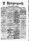 Y Llan Saturday 06 May 1871 Page 1