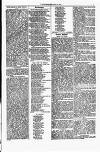 Y Llan Saturday 20 May 1871 Page 7