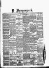 Y Llan Friday 06 February 1880 Page 1