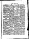 Y Llan Friday 25 April 1884 Page 5