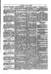 Y Llan Friday 08 August 1884 Page 5
