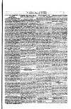 Y Llan Friday 13 March 1885 Page 7