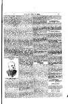 Y Llan Friday 22 May 1885 Page 5