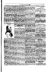 Y Llan Friday 07 August 1885 Page 5