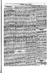 Y Llan Friday 07 August 1885 Page 7