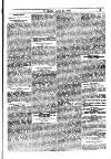 Y Llan Friday 21 August 1885 Page 3