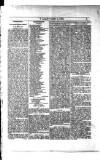Y Llan Friday 26 March 1886 Page 3