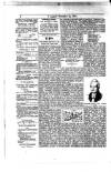 Y Llan Friday 12 February 1886 Page 4