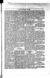 Y Llan Friday 12 February 1886 Page 5