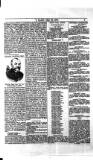 Y Llan Friday 28 May 1886 Page 5