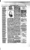 Y Llan Friday 18 June 1886 Page 7