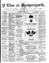 Y Llan Friday 23 January 1891 Page 1