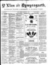 Y Llan Friday 06 February 1891 Page 1