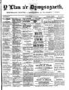 Y Llan Friday 15 May 1891 Page 1